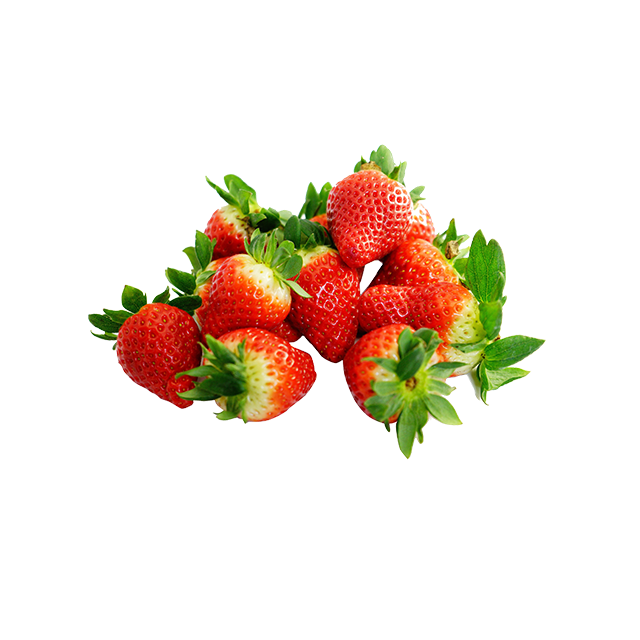 OLT Strawberry - Image 3